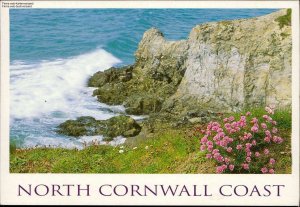 gebrauchtes Buch – 1115365 North Cornwall Küste