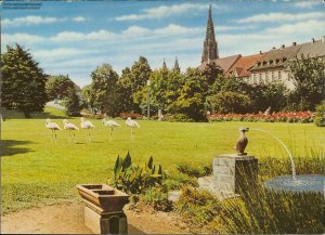 gebrauchtes Buch – 1118657 Freiburg im Breisgau, Im Stadtgarten