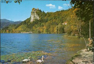 gebrauchtes Buch – 1135381 Bled - Slovenija gebrauchtes Buch – 1135381 Bled - Slovenija