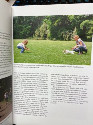 gebrauchtes Buch – Del Amo – Hundeschule : Step-by-Step zum folgsamen Familienhund. Celina DelAmo (Text), Dieter Kothe (Fotos)
