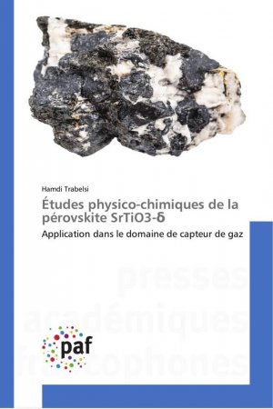 Études physico-chimiques de la pérovskite SrTiO3-¿ | Application dans le domaine de capteur de gaz | Hamdi Trabelsi | Taschenbuch | Paperback | Französisch | 2023 | Presses Académiques Francophones