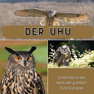 Der Uhu | Einblicke in die Welt der größten Eule Europas | Peter Koch | Taschenbuch | 82 S. | Deutsch | 2024 | 27amigos | EAN 9783750565319