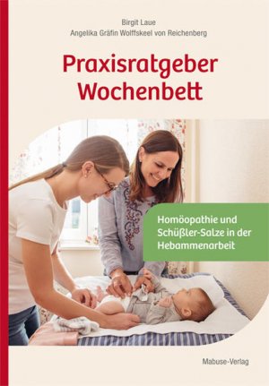 gebrauchtes Buch – Birgit, Laue und Reichenberg Angelika Gräfin Wolffskeel von – Praxisratgeber Wochenbett. Homöopathie und Schüßler-Salze in der Hebammenarbeit
