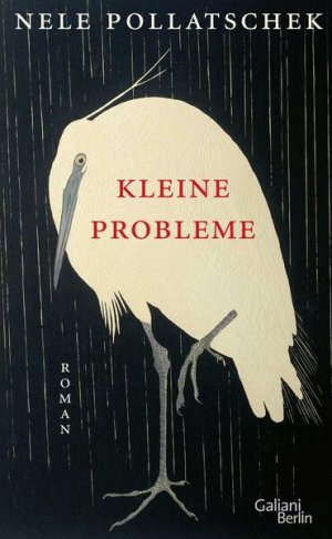 gebrauchtes Buch – Nele Pollatschek – Kleine Probleme: Roman