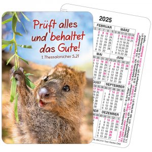 Spielkarten-Kalender 2025 - Quokka