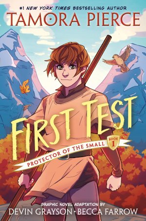 neues Buch – Tamora Pierce – First Test Graphic Novel