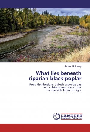 What lies beneath riparian black poplar