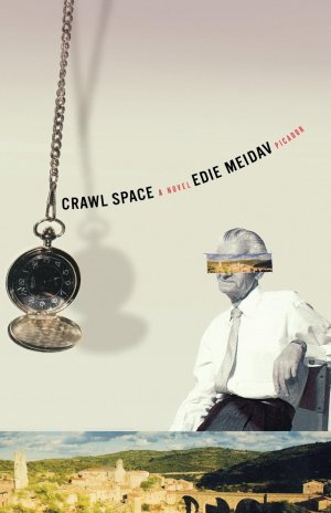 neues Buch – Edie Meidav – Crawl Space