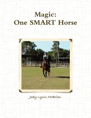 Magic One SMART Horse