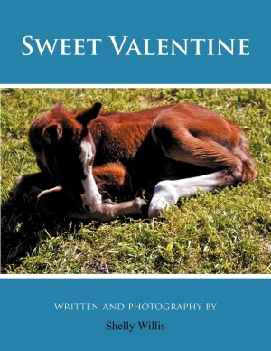 Sweet Valentine