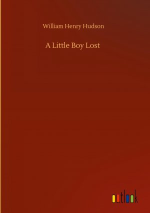 A Little Boy Lost