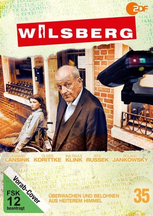 Wilsberg DVD 35: Ueberwachen und belohnen / Aus heiterem Himmel