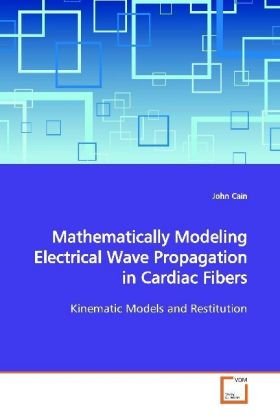 Mathematically Modeling Electrical Wave Propagationin Cardiac Fibers