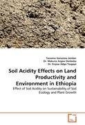 Soil Acidity Effects on Land Productivity and Environment in Ethiopia