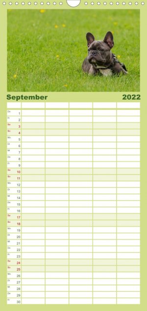 neues Buch – Junge Hunde / 2022 (Wandkalender 2022 , 21 cm x 45 cm, hoch)