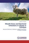 Maedi-Visna and Bacterial Infections in Sheep in Ethiopia