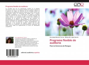 Programa flexible de auditoría