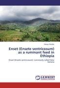 Enset (Ensete ventricosum) as a ruminant feed in Ethiopia