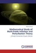 Mathematical Study of Multi-Fields Inflation and Perturbation Theory