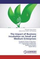 The Impact of Business Incubation on Small and Medium Enterprises