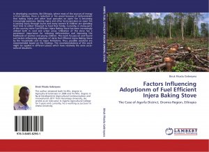 neues Buch – Biruk Fikadu Gebreyess – Factors Influencing Adoptionm of Fuel Efficient Injera Baking Stove