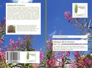 Afrique 24 H chrono