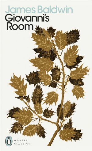 neues Buch – James Baldwin – Giovanni s Room. Giovannis Zimmer, englische Ausgabe