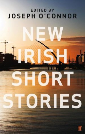 neues Buch – Various – New Irish Short Stories