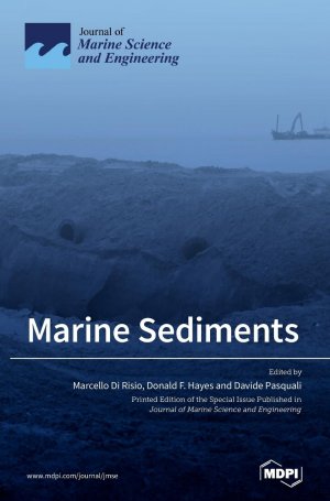 neues Buch – Marine Sediments