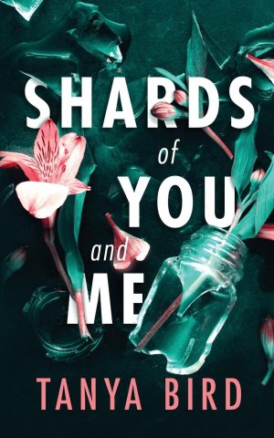 Shards of You and Me