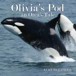 OLIVIAS POD