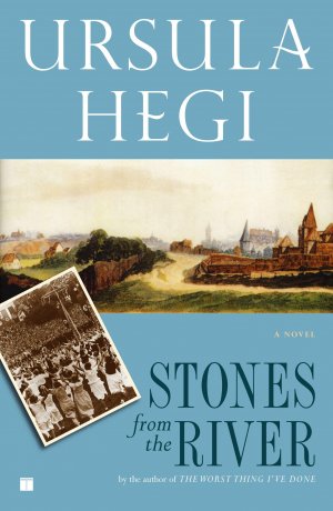 neues Buch – Ursula Hegi – Stones from the River