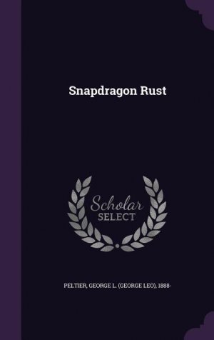 neues Buch – Snapdragon Rust