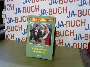 gebrauchtes Buch – Johanna Steiger – Schicksalhafte Begegnung. gebrauchtes Buch – Johanna Steiger – Schicksalhafte Begegnung.