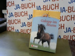 gebrauchtes Buch – Susanne Kronenberg – Reiterhof Rote Mühle, Bd.4, Galopp im Sturm