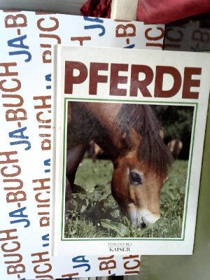 Pferde