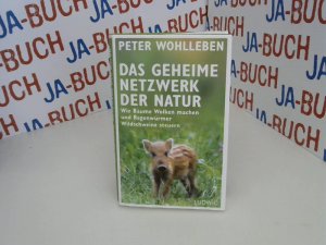 Das geheime Netzwerk der Natur: Wie Bäume Wolken machen und Regenwürmer Wildschweine steuern