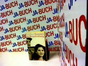 gebrauchtes Buch – Urs Faes – Sommer in Brandenburg