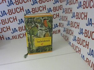 gebrauchtes Buch – Brigitte Kronauer – Teufelsbrück: Roman