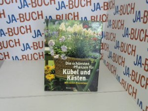 gebrauchtes Buch – Jörn Pinske – Die schönsten Pflanzen für Kübel und Kästen