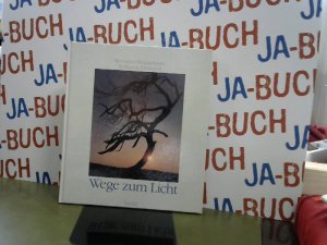 gebrauchtes Buch – Brüggemann, Hermann J. und Wolfgang Klinkusch – Wege zum Licht