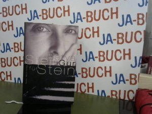 gebrauchtes Buch – Batya Gur – Stein für Stein