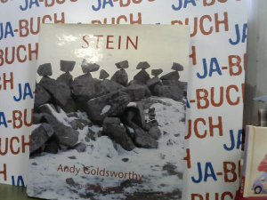 gebrauchtes Buch – Goldsworthy Andy – Stein