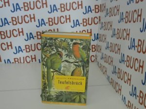 gebrauchtes Buch – Brigitte Kronauer – Teufelsbrück: Roman