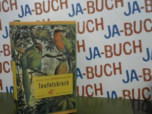 gebrauchtes Buch – Brigitte Kronauer – Teufelsbrück: Roman