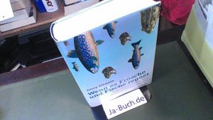 gebrauchtes Buch – Dennis, Jerry  – Wenn es Frösche und Fische regnet : unglaubliche Phänomene zwischen Himmel und Erde.