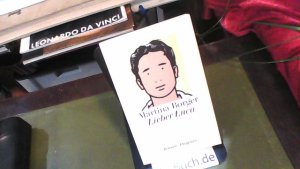 gebrauchtes Buch – Martina Borger – Lieber Luca (detebe)