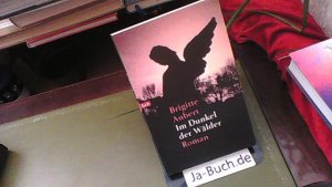 gebrauchtes Buch – Brigitte Aubert – Im Dunkel der Wälder: Roman