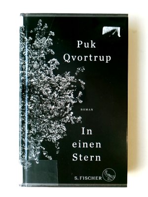 gebrauchtes Buch – In einen Stern: Roman