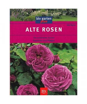 gebrauchtes Buch – Ute Bauer – Alte Rosen.